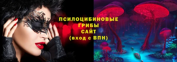 ПСИЛОЦИБИНОВЫЕ ГРИБЫ Бронницы