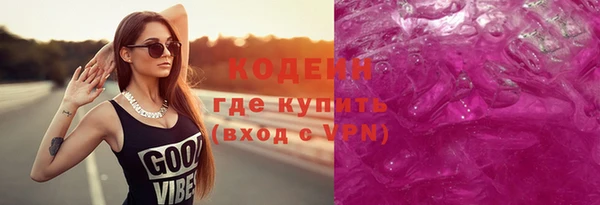 дживик Пересвет