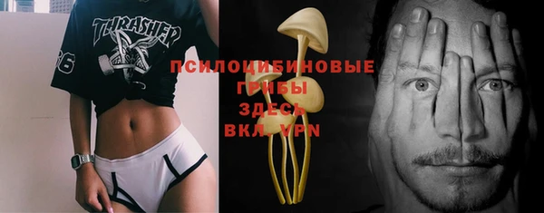 дживик Пересвет