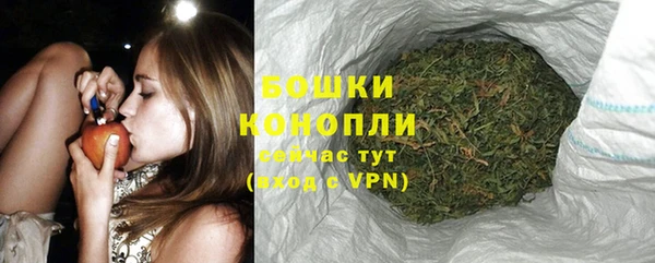 дживик Пересвет