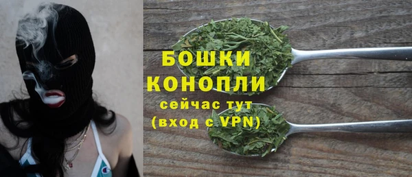 дживик Пересвет