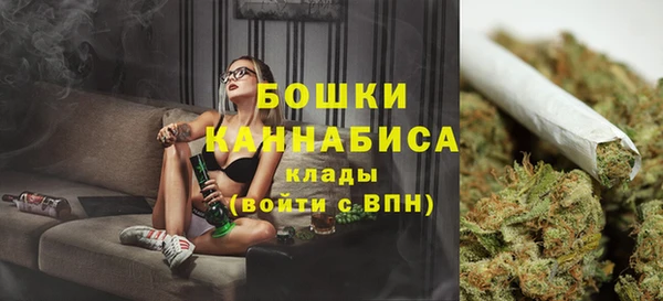 дживик Пересвет