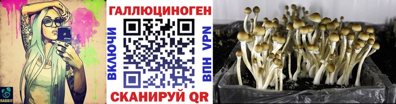 закладка  Суоярви  МЕГА как войти  Галлюциногенные грибы Magic Shrooms 